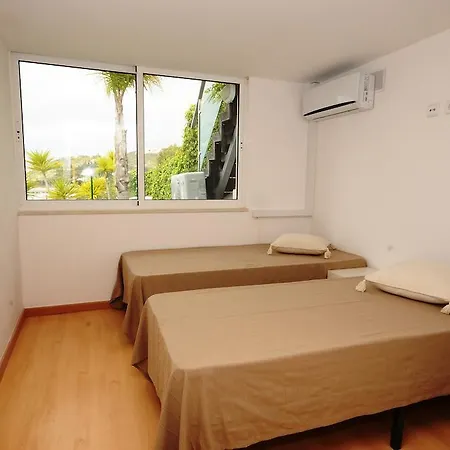 Okapi 알부페이라