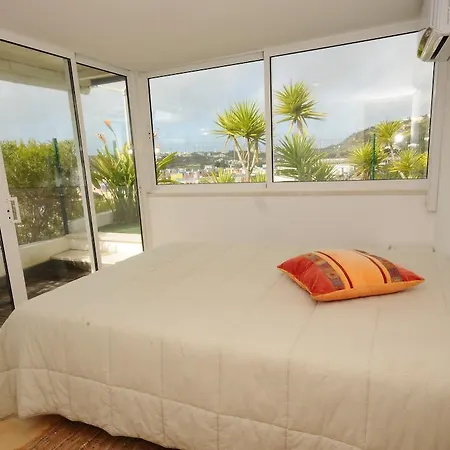 Okapi アルブフェイラ